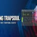 How To Mix A Trapsoul Beat In FL Studio