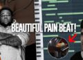 I MADE THE MOST BEAUTIFUL PAIN BEAT