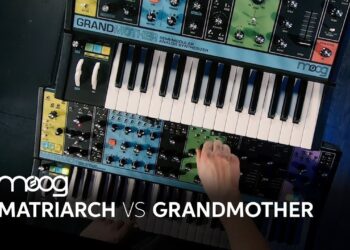 Moog Matriarch and Grandmother Comparison By Daniel Fisher