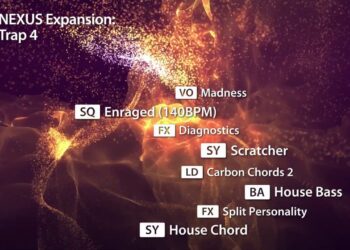 Nexus Expansion: Trap 4