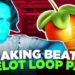 NICK MIRA MAKES A BUNCH OF FIRE BEATS WITH OCELOT MELODY PACK