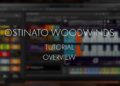 Ostinato Woodwinds Tutorial – Overview