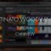 Ostinato Woodwinds Tutorial – Overview