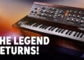 Moog Minimoog Model D Demo – Daniel Fisher