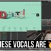 You NEED These Vocals! The Vocals of Duets From Native Instruments!