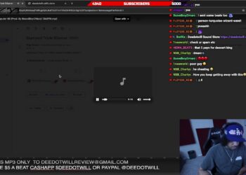 Deedotwill Beat Review & Cookup