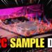 MPC SAMPLE DAY!!! REACTIONS & BEATMAKING Q&A
